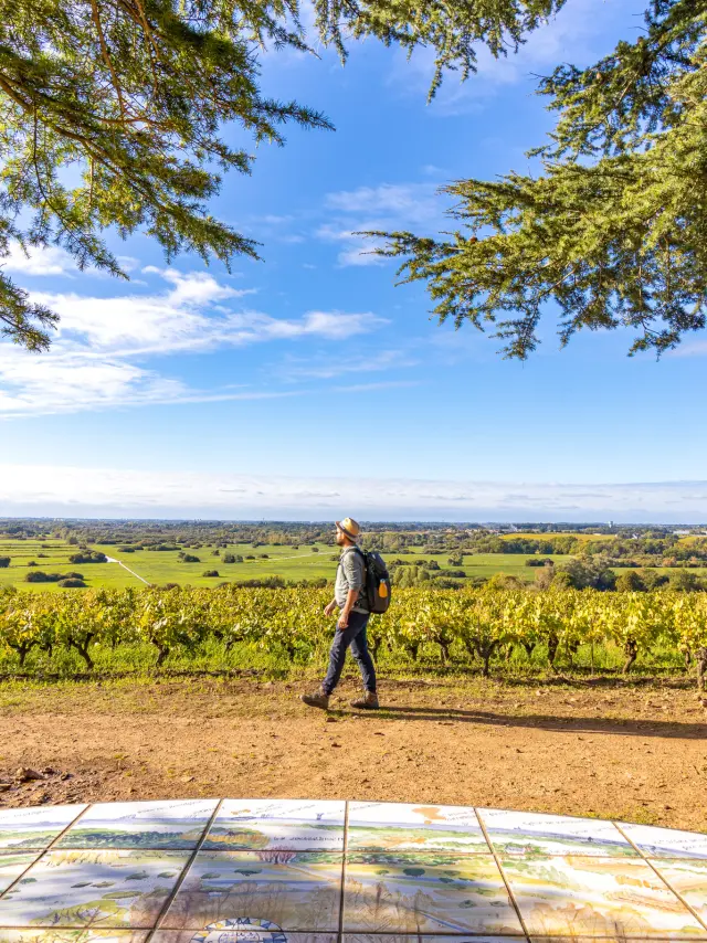 Points de vue inoubliables du Vignoble Nantais : Butte De La Roche
