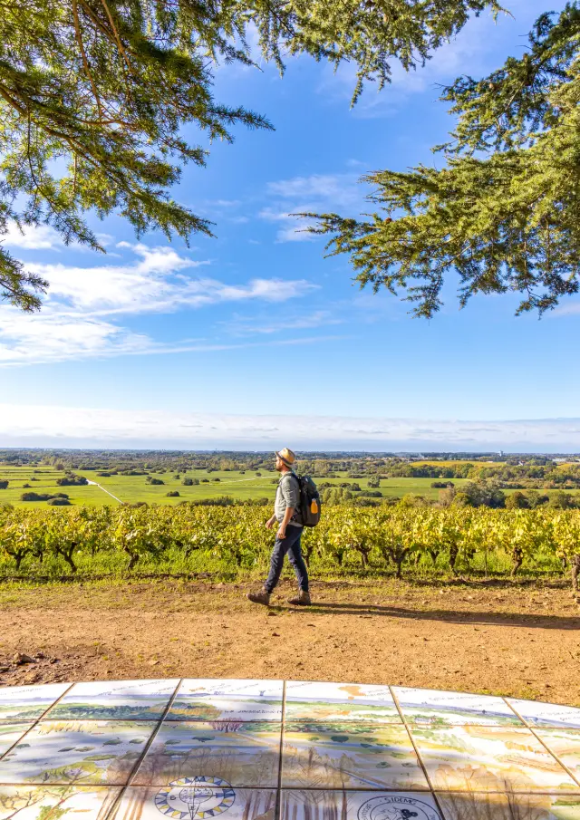 Points de vue inoubliables du Vignoble Nantais : Butte De La Roche