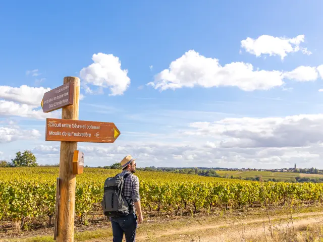 Hiking in the Vignoble Nantais : Butte de la Roche, hiking near Nantes