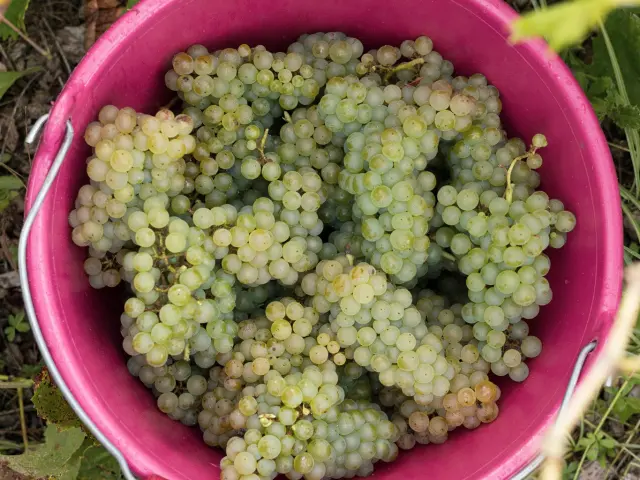 547320128 1301216748457712 6999912507403232196 N