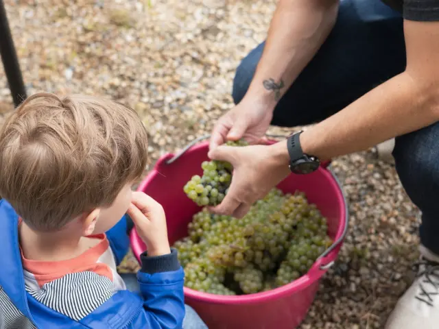 548203598 1301216681791052 154912587277873305 N