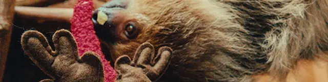 581842016 1315829990574271 8307393462258332190 N