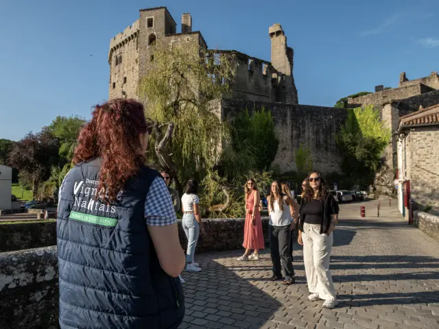 Visita guiada Les Essentiels de Clisson