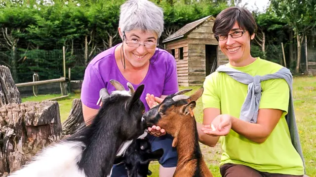 Parcs animaliers et fermes pédagogiques du Vignoble Nantais : Ferme Pedagogique La Pequiniere