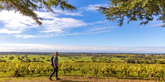 Points de vue inoubliables du Vignoble Nantais : Butte De La Roche