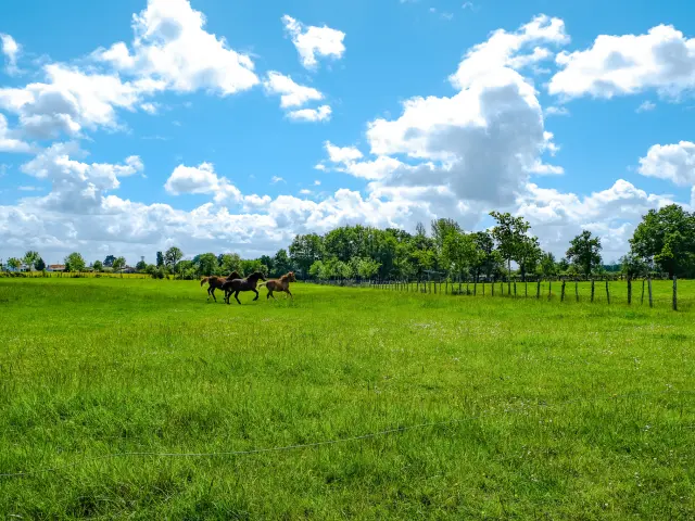 Boucle du Vignoble à Vélo près de la Regrippière et l'itinérence vélo dans la campagne du Vignoble Nantais avec Sylvain Le Bourdonnec du blog Ma vie en Loire-Atlantique