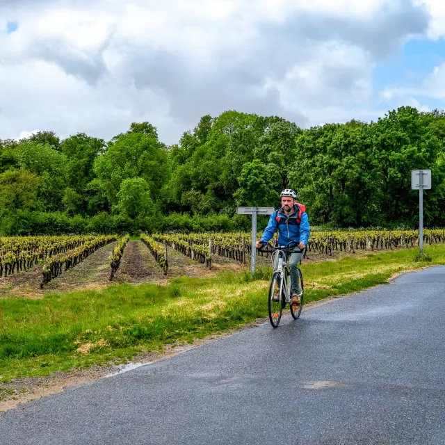 Boucle du Vignoble à Vélo près de la Regrippière et l'itinérence vélo dans la campagne du Vignoble Nantais avec Sylvain Le Bourdonnec du blog Ma vie en Loire-Atlantique