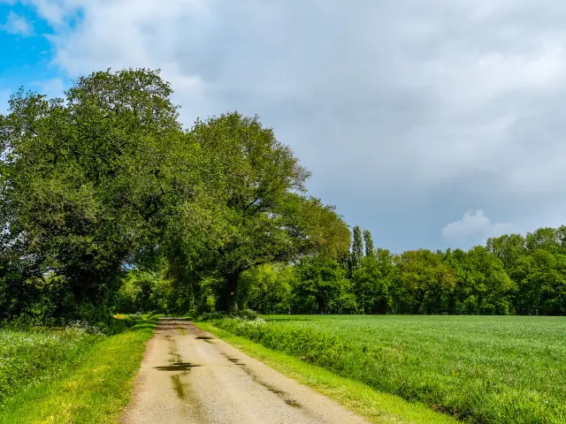 Boucle du Vignoble à Vélo près de la Regrippière et l'itinérence vélo dans la campagne du Vignoble Nantais avec Sylvain Le Bourdonnec du blog Ma vie en Loire-Atlantique