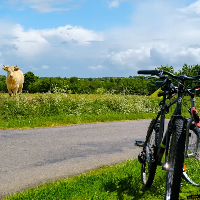 Boucle du Vignoble à Vélo près de la Regrippière et l'itinérence vélo dans la campagne du Vignoble Nantais avec Sylvain Le Bourdonnec du blog Ma vie en Loire-Atlantique
