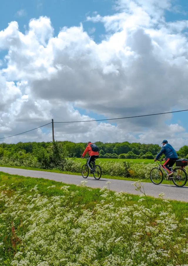 Boucle du Vignoble à Vélo près de la Regrippière et l'itinérence vélo dans la campagne du Vignoble Nantais avec Sylvain Le Bourdonnec du blog Ma vie en Loire-Atlantique