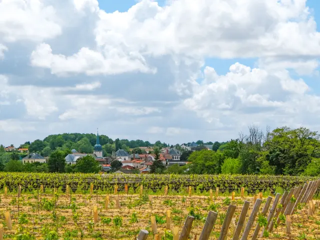 Boucle du Vignoble à Vélo près de la Regrippière et l'itinérence vélo dans la campagne du Vignoble Nantais avec Sylvain Le Bourdonnec du blog Ma vie en Loire-Atlantique