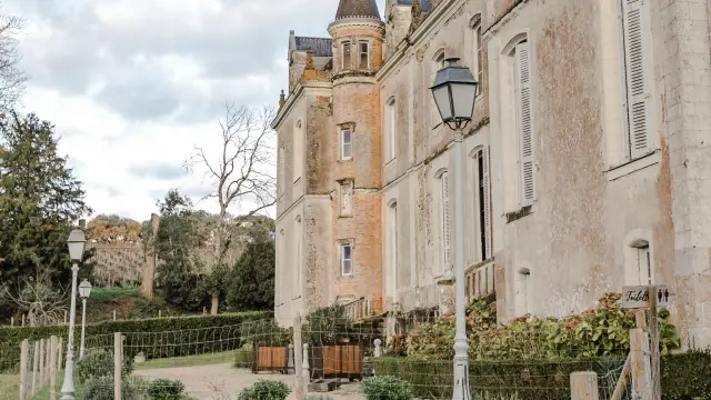 Chateau Du Coing Vignoble De Nantes Photochlatard 37