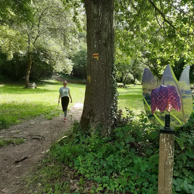 Circuit Des Coteaux Luminais Copyright Peggy Gastineau 17 Rotated