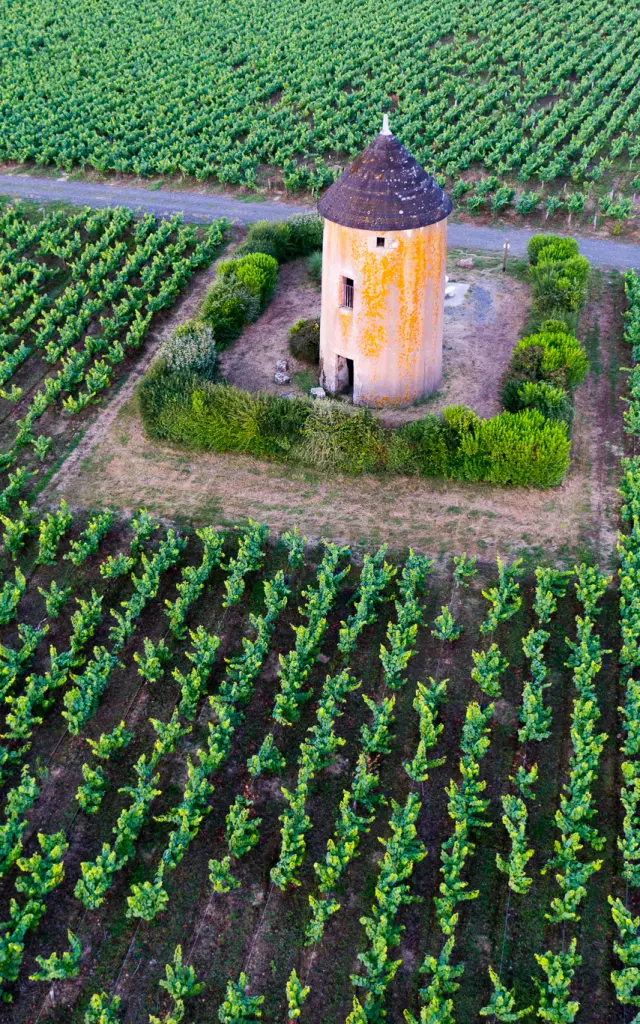 Visitez un moulin dans le Vignoble Nantais : papier, foulon, belvédères ou anciennes fabriques vous racontent leur histoire.