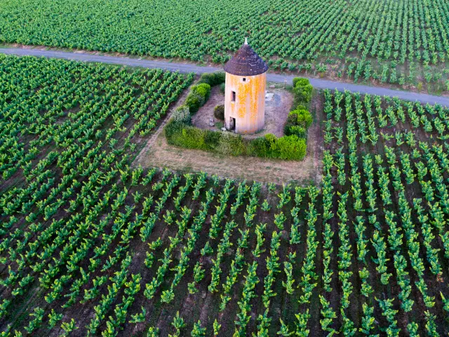 Visitez un moulin dans le Vignoble Nantais : papier, foulon, belvédères ou anciennes fabriques vous racontent leur histoire.