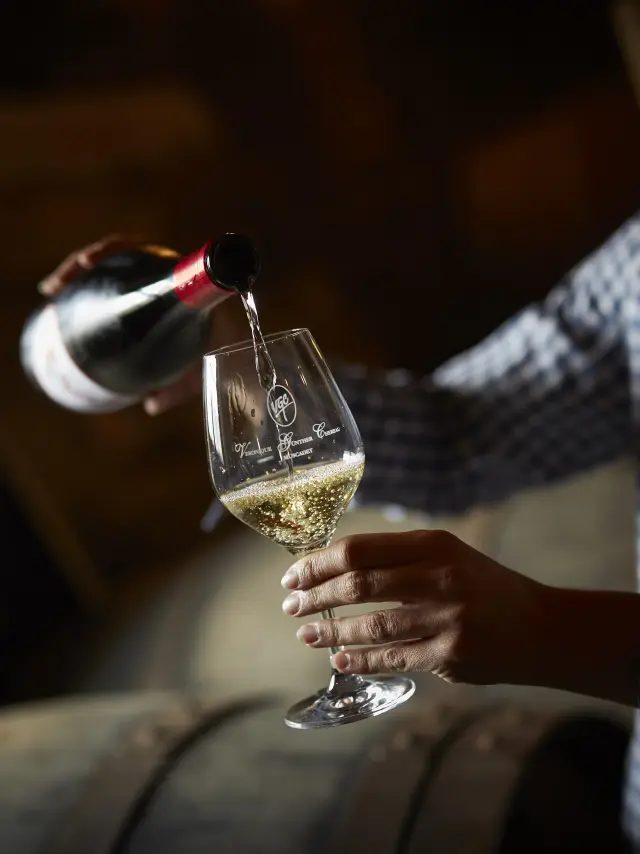 Vignobles en Scène 2025 dans le Vignoble Nantais : pays du Muscadet. Château du Coing