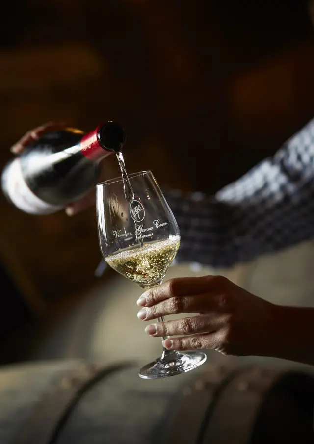 Vignobles en Scène 2025 dans le Vignoble Nantais : pays du Muscadet. Château du Coing