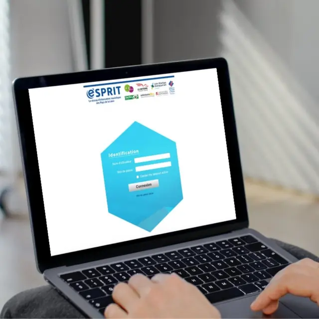 Espace pros : Valoriser votre, l'offre e-sprit et tourinsoft