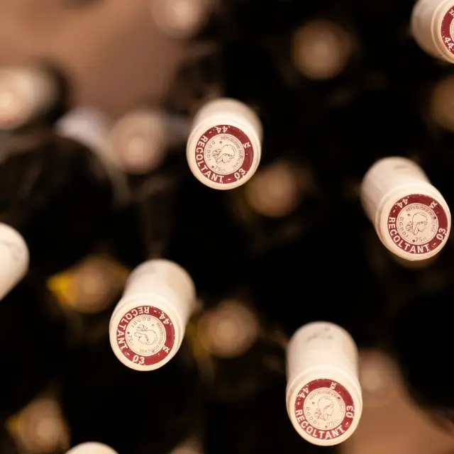 Idées cadeaux de Noël