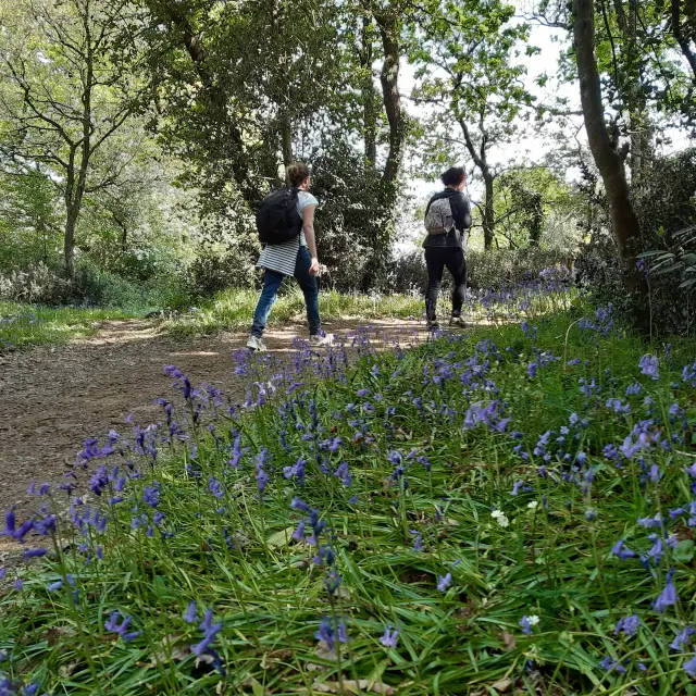 Grp Sevre Et Maine Maisdon Saint Lumine Copyright Peggy Gastineau 12 Rotated