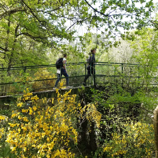 Grp Sevre Et Maine Maisdon Saint Lumine Copyright Peggy Gastineau 18 Rotated