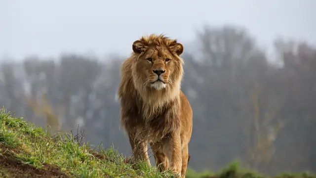 Img 3448m 002 Credit Celine Garans