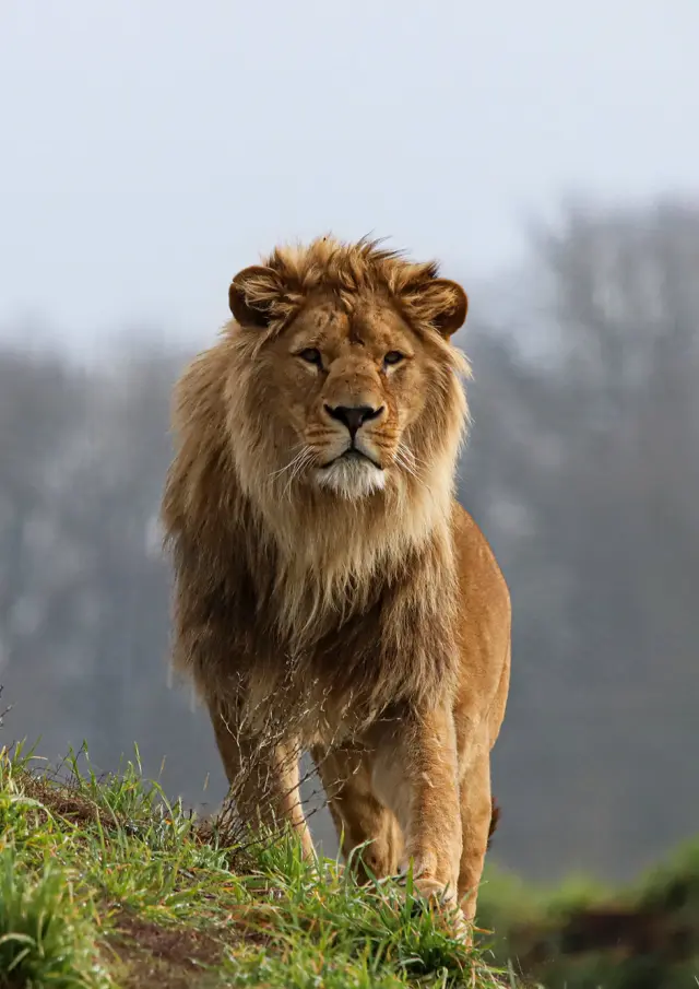 Img 3448m 002 Credit Celine Garans