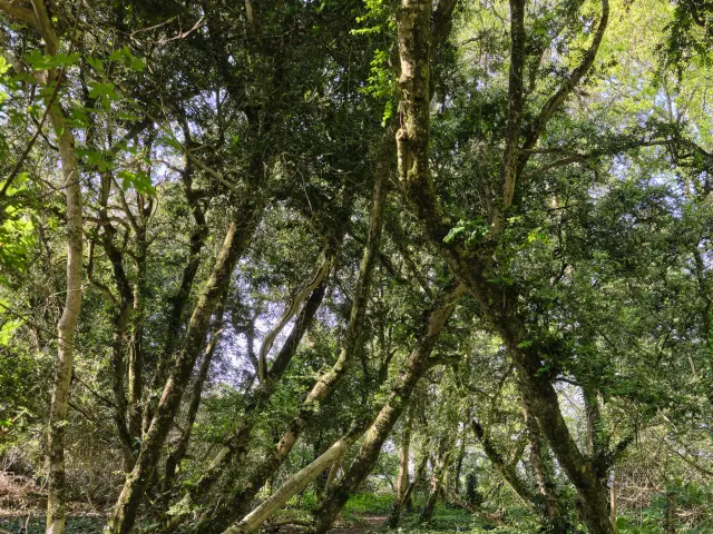 Photographer - author