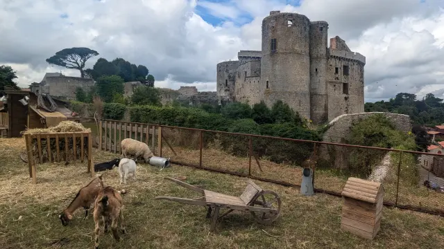 Agenda - Grands événements et temps forts - Le mini ferme Les Médiévales de Clisson