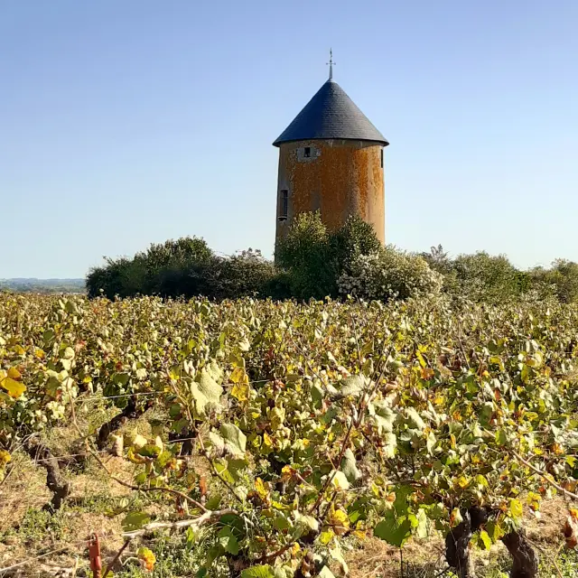 Miniere Automne Mill