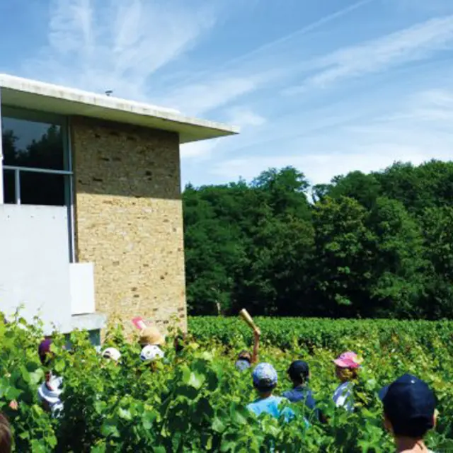 The vineyards from a child's point of view: visit the Musée du Vignoble Nantais