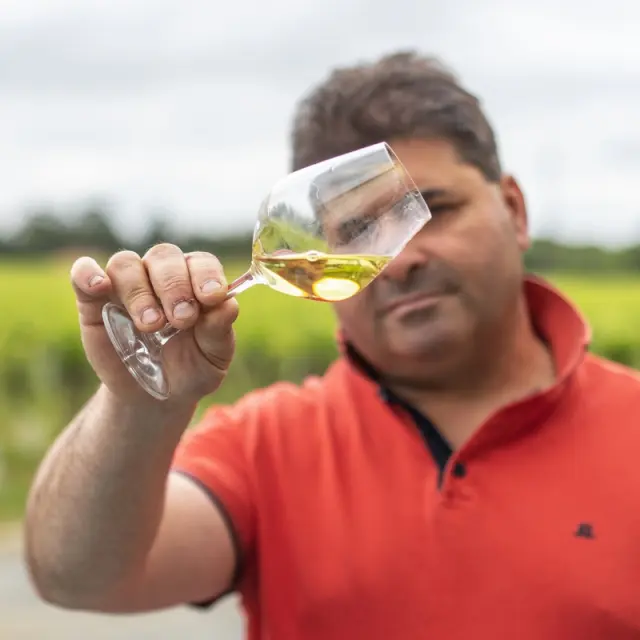 Vignobles en Scène 2025 dans le Vignoble Nantais : pays du Muscadet. Domaine Raphaël Luneau | R de la Grange.