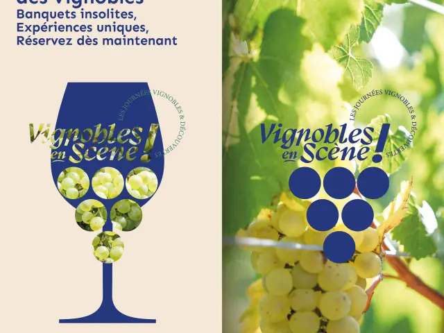 Vignobles en Scène 2025 dans le Vignoble Nantais : pays du Muscadet