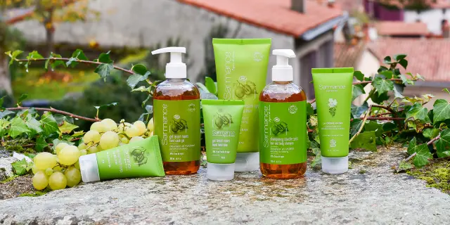 Destination Vignoble!