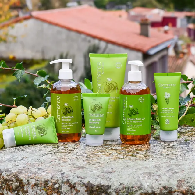 Destination Vignoble!