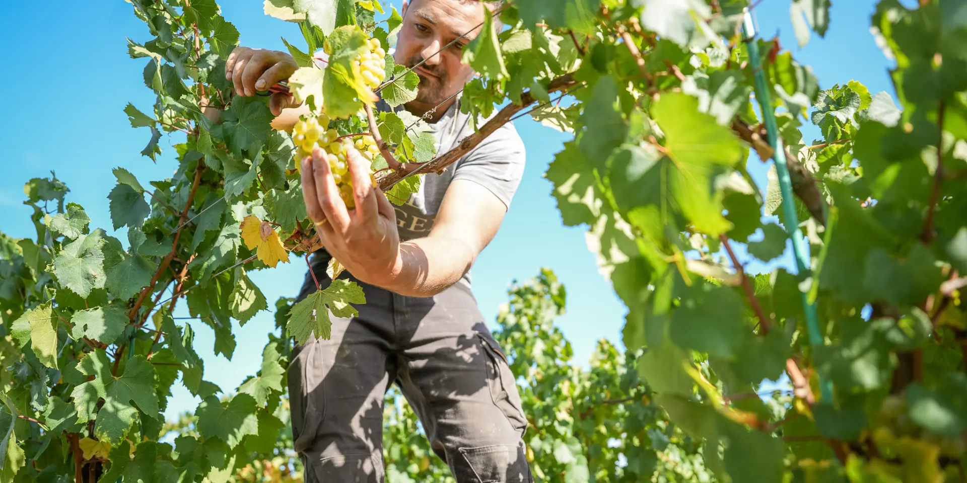 Domaine Ménard-Gaborit
