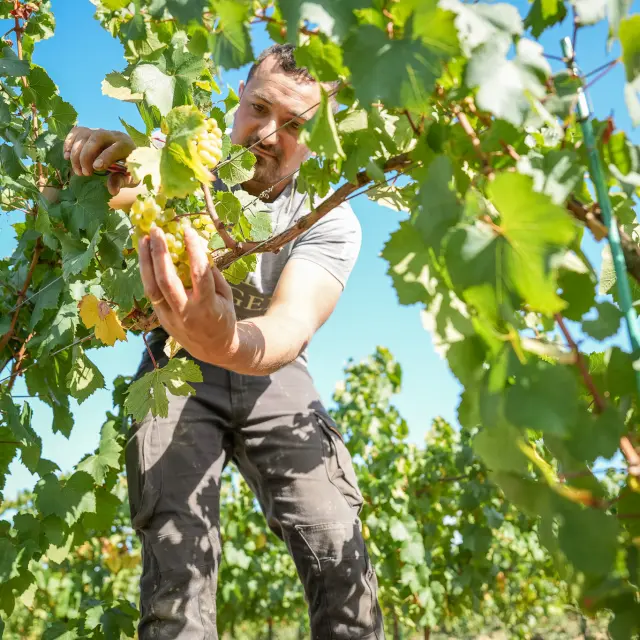 Domaine Ménard-Gaborit