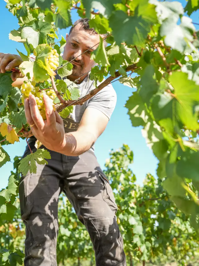 Domaine Ménard-Gaborit