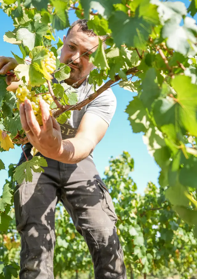 Domaine Ménard-Gaborit
