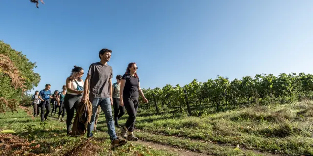 Hiking in the Vignoble Nantais : A thirst for nature at Maisdon-sur-Sèvre, hiking near Nantes