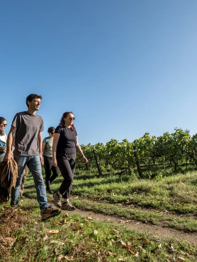 Randonnée & itinérance, Randonnée pédestre dans le Vignoble Nantais : Soif de nature à Maisdon-sur-Sèvre, randonnée près de Nantes