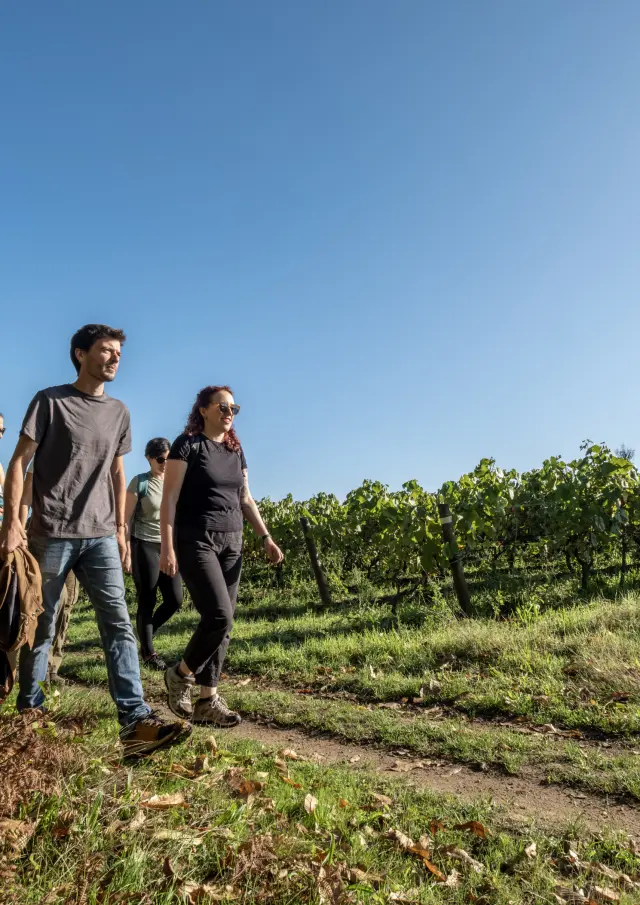 Randonnée & itinérance, Randonnée pédestre dans le Vignoble Nantais : Soif de nature à Maisdon-sur-Sèvre, randonnée près de Nantes