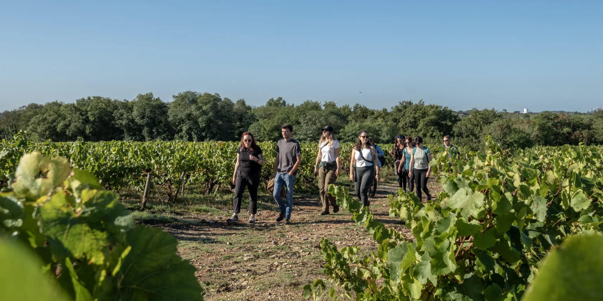 Randonnée & itinérance, Randonnée pédestre dans le Vignoble Nantais : Soif de nature à Maisdon-sur-Sèvre, randonnée près de Nantes