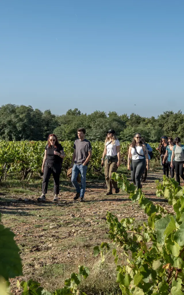 Hiking in the Vignoble Nantais : A thirst for nature at Maisdon-sur-Sèvre, hiking near Nantes