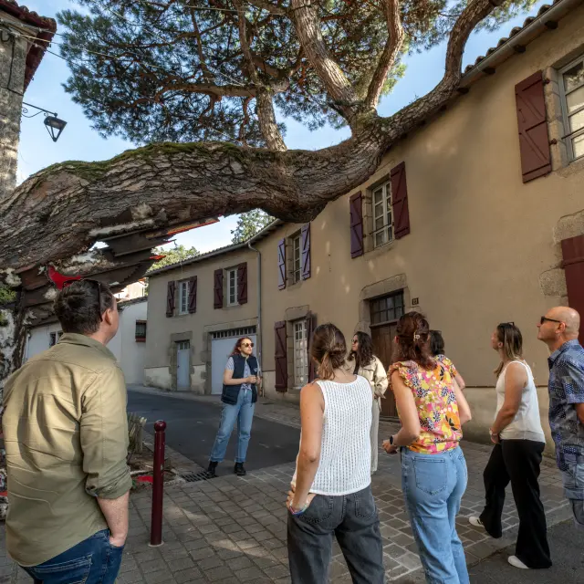Visite guidée les Essentiels de Clisson