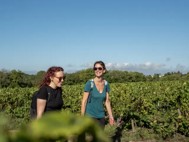 Espace pros : Créer ou relancer une activité oenotouristique