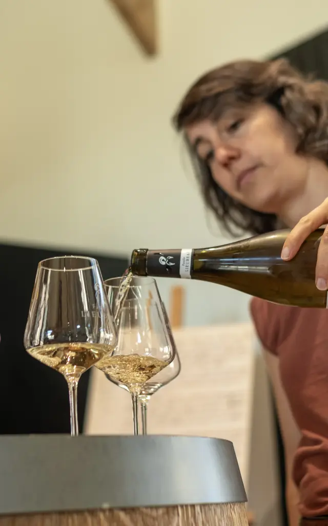 Vignoble Nantais┬®adrien Vilarem Web 7297