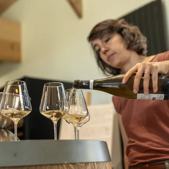 Espace pros : Créer ou relancer une activité oenotouristique