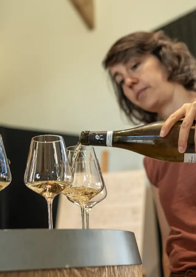 Espace pros : Créer ou relancer une activité oenotouristique