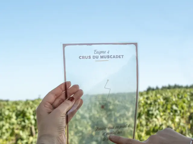 Espace pros : Créer ou relancer une activité oenotouristique